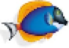Atos Origin
